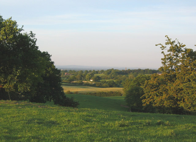 View towards Brankelow Moss from South Cheshire Way