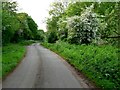 Approaching Bursey Lane Ends