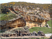 NJ1570 : Sandstone Geology at Clashach Cove by Gary Rogers