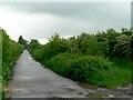 South Ings Lane, North Cave