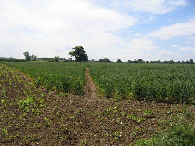 Footpath to Kent's Farm
