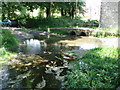 The ford at Chewton Mendip