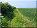 Farmland at SE887629