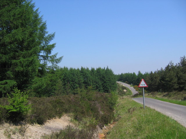 Cropton Forest Road
