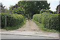 Nobs Crook, seen from Church Lane, Colden Common