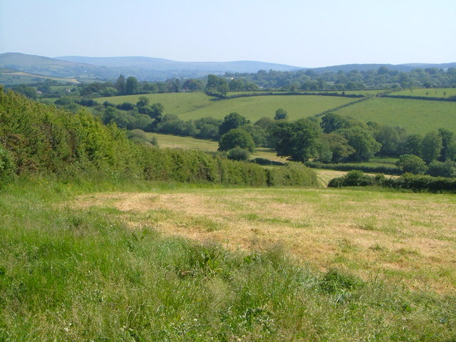 Valley of Blackaton Brook near Throwleigh