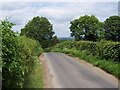 Lane from Grewelthorpe towards Mickley