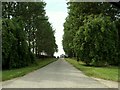 Park Farm approach, Winston Green, Suffolk