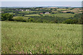 Stoodleigh: towards Oakford