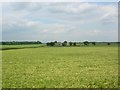 Towards Fairburn House Farm