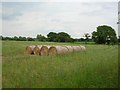SE4963 : Haybales - Route 65 by DS Pugh