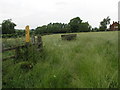 Footpath and Feeder