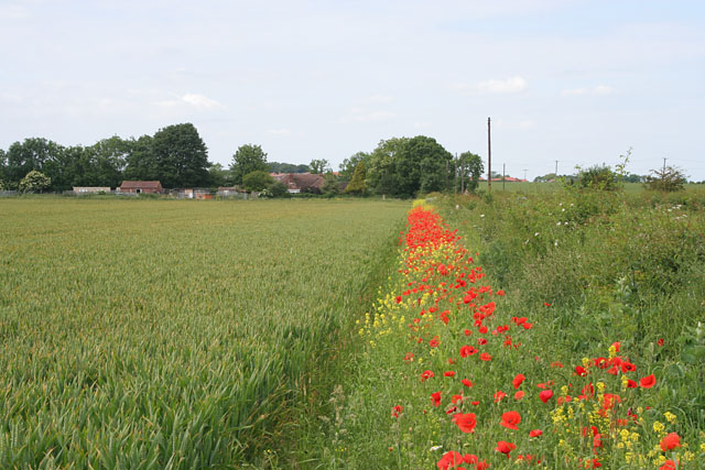 Farmland near Scothern, Lincolnshire