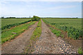 Farm Track at Red Barn Farm