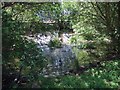 Pond at Coursers Farm