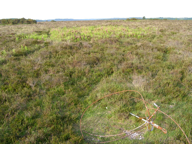 Bronze age and 20th century relics on Ibsley Common, New Forest