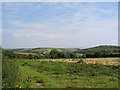 Set-aside field, near St Keverne