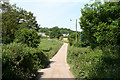 Luppitt: lane to Shapcombe Farm