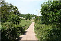ST1504 : Luppitt: lane to Shapcombe Farm by Martin Bodman