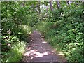 Coal Pit Lane, Salford, Almondbury