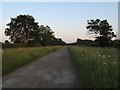 Lane from Rowde Croft Farm