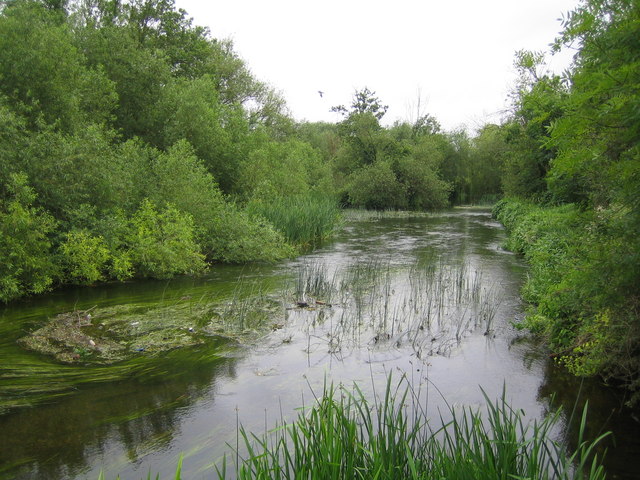 River Colne near West Drayton
