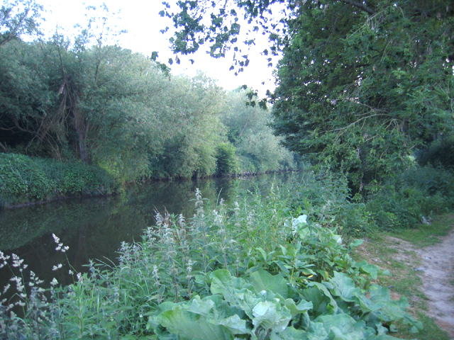 River Medway from the Medway Valley Walk, Maidstone, Kent