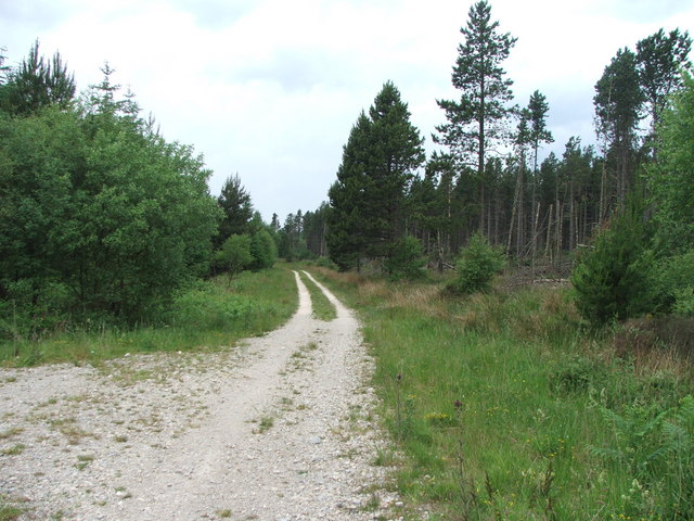 Forestry on Wilden Moor.