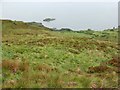 NG7713 : Moorland above the Sound of Sleat by John Allan