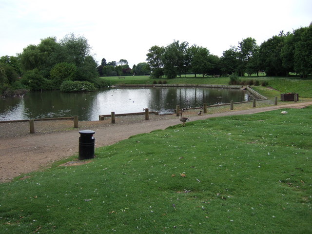 Duck pond, South Wootton, Norfolk.