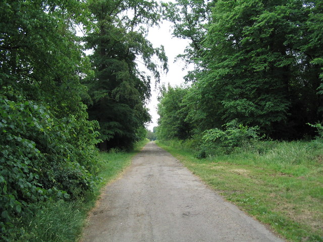 Bridleway into Exton Park