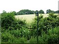 Footpath south of Bawdon Lodge