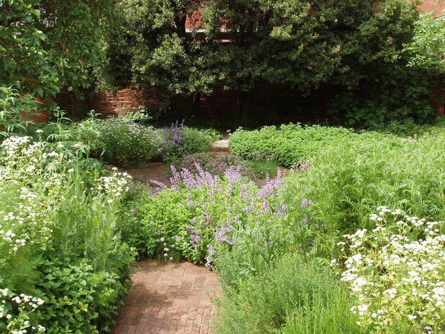 Garden of Tymperleys museum, Colchester