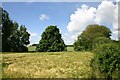 Field near Lidgate