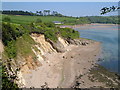 Erme estuary from Owen