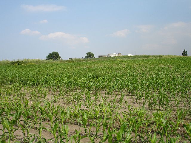 Maize and Sewage works, Motney Hill