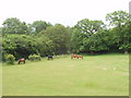 Paddock with horses, by Berkhamsted Common