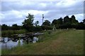 Pond restored as a nature reserve