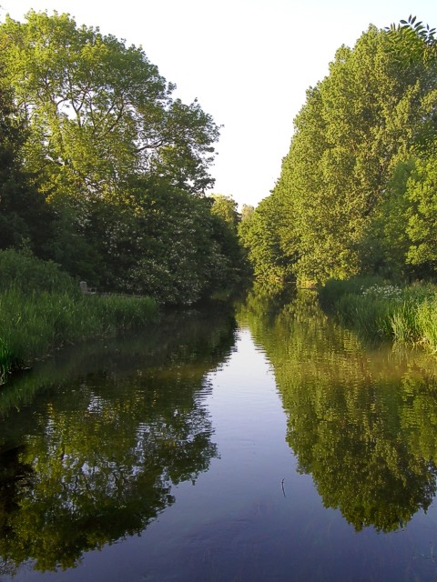The Itchen Navigation at Shawford
