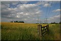 Fields at Akenham