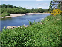 NH8451 : River Nairn by gj