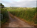 Creedy valley from Winscott Barton