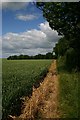 Footpath to Badmondisfield Hall