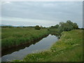 River Wyre near Great Eccleston