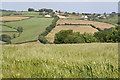 Cruwys Morchard: towards Withleigh