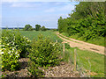 Footpath east of Biggleswade, Beds