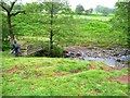 SN9722 : Footbridge and ford over the Afon Tarell by Oliver Dixon