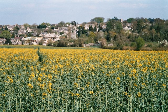 Field near Stonesfield