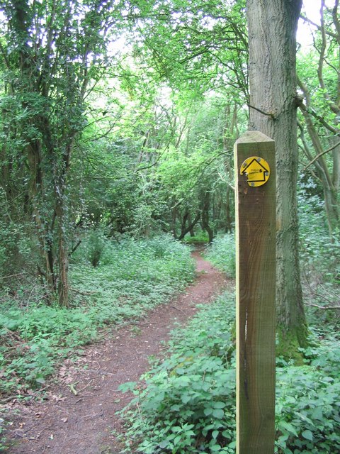 Footpath through woodland near Shortwood Lodge