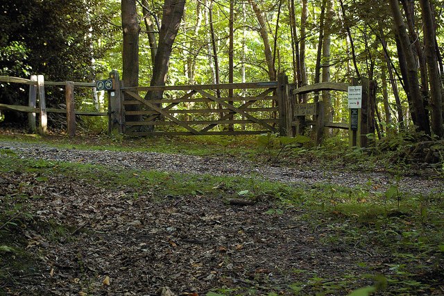 Farningham Wood Nature Reserve © Glyn Baker :: Geograph Britain and Ireland